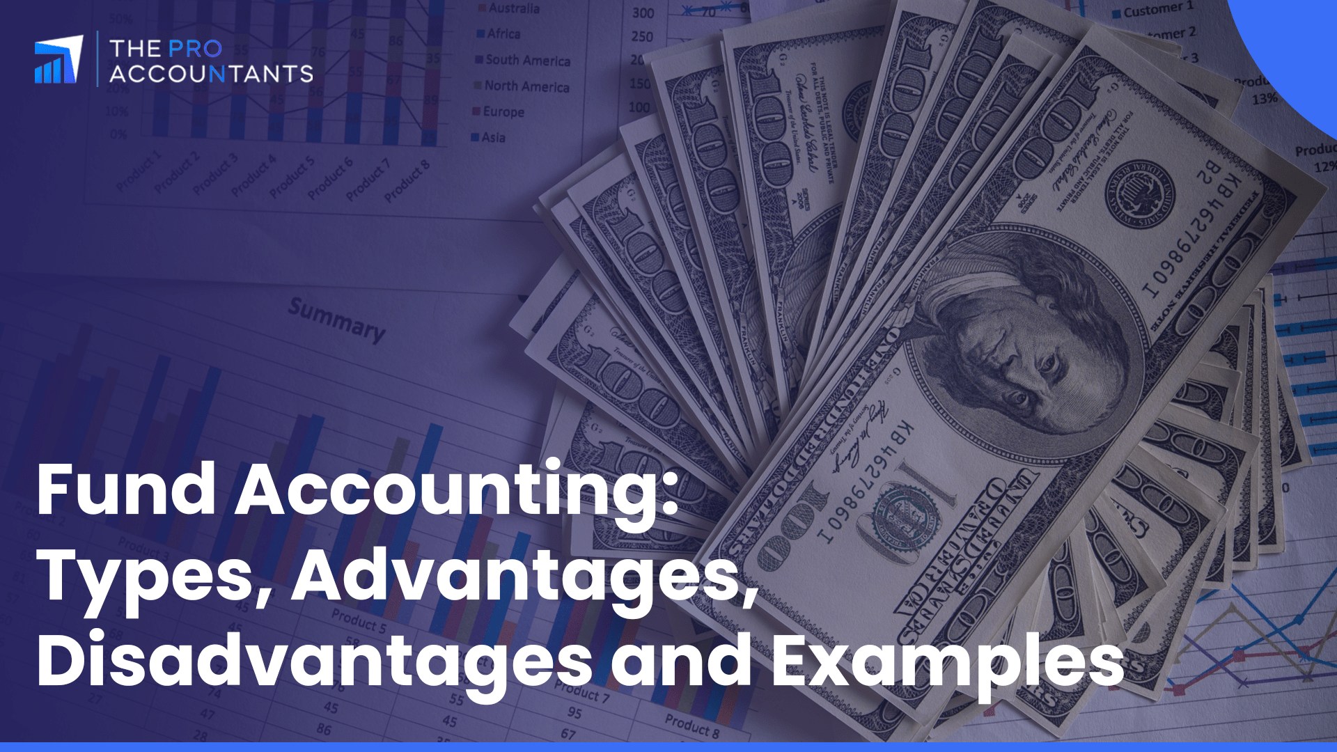 Fund Accounting: Types, Advantages, Disadvantages and Examples